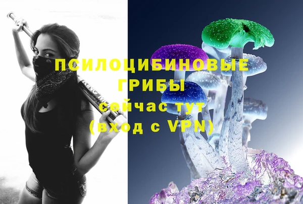 таблы Горнозаводск