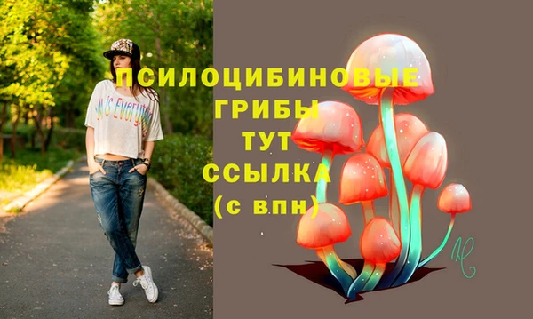 таблы Горнозаводск